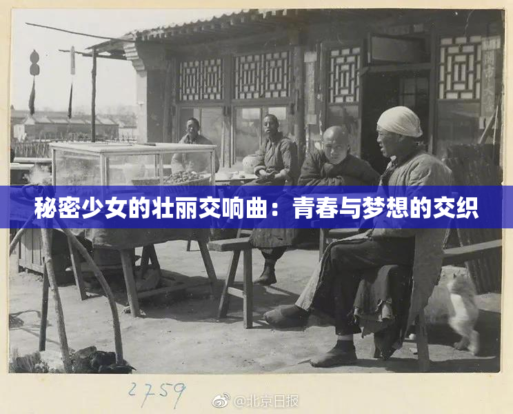秘密少女的壮丽交响曲：青春与梦想的交织