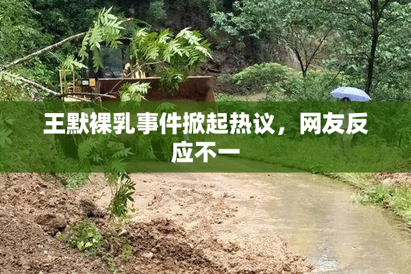 王默裸乳事件掀起热议，网友反应不一