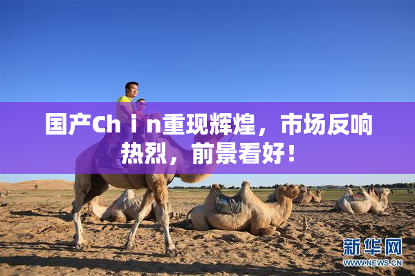 国产Chⅰn重现辉煌，市场反响热烈，前景看好！