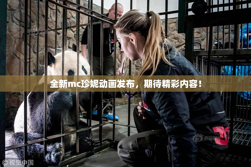 全新mc珍妮动画发布，期待精彩内容！