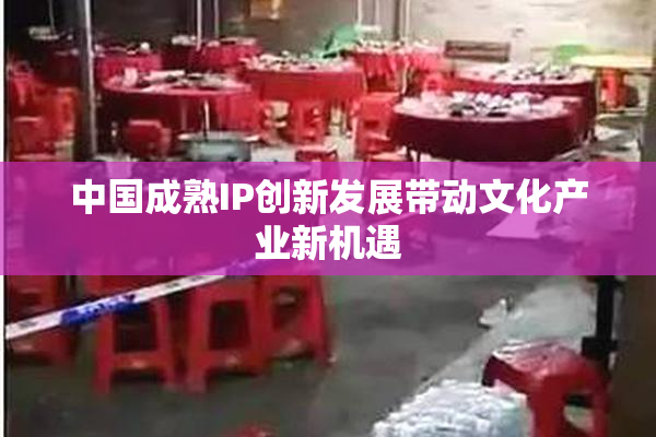 中国成熟IP创新发展带动文化产业新机遇