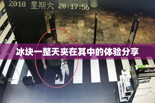 冰块一整天夹在其中的体验分享