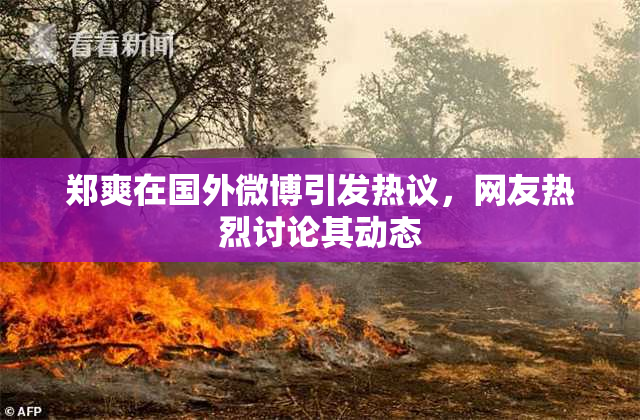 郑爽在国外微博引发热议，网友热烈讨论其动态