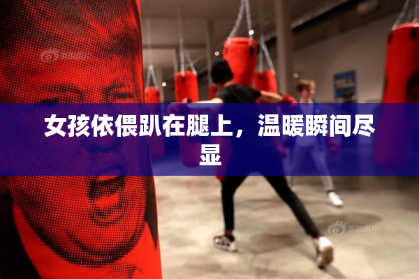 女孩依偎趴在腿上，温暖瞬间尽显