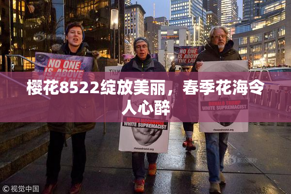樱花8522绽放美丽，春季花海令人心醉