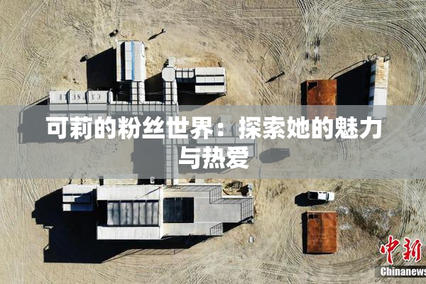 可莉的粉丝世界：探索她的魅力与热爱