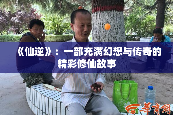 《仙逆》：一部充满幻想与传奇的精彩修仙故事