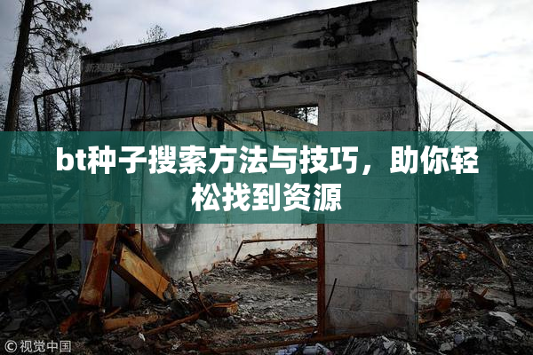 bt种子搜索方法与技巧，助你轻松找到资源
