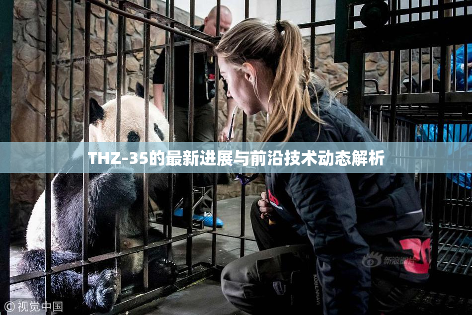 THZ-35的最新进展与前沿技术动态解析