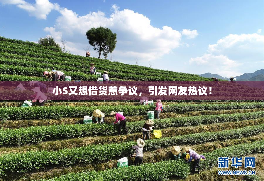 小S又想借货惹争议，引发网友热议！