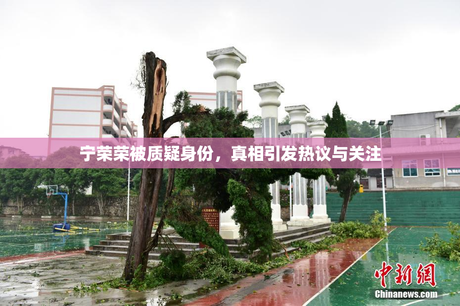 宁荣荣被质疑身份，真相引发热议与关注