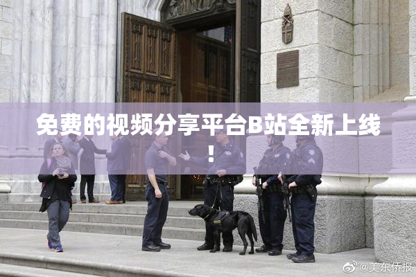 免费的视频分享平台B站全新上线！