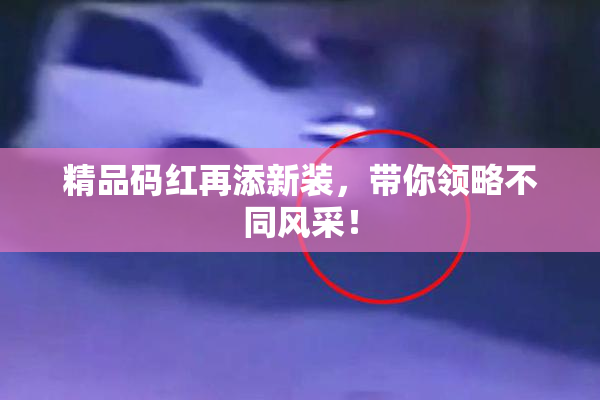 精品码红再添新装，带你领略不同风采！