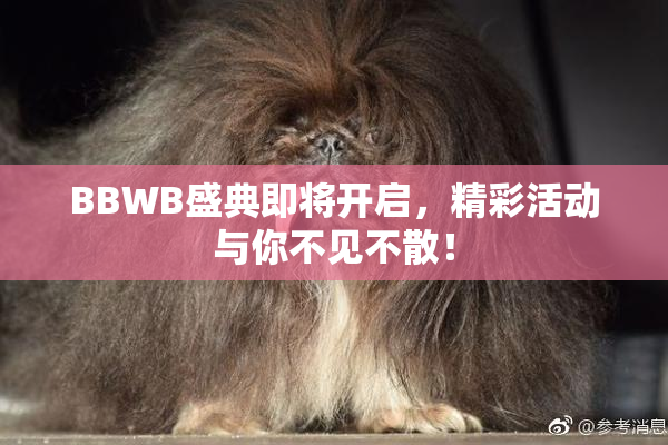 BBWB盛典即将开启，精彩活动与你不见不散！