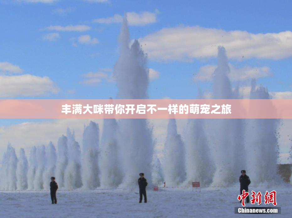 丰满大咪带你开启不一样的萌宠之旅