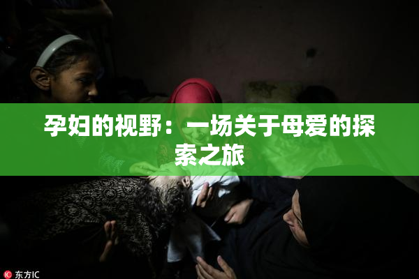 孕妇的视野：一场关于母爱的探索之旅