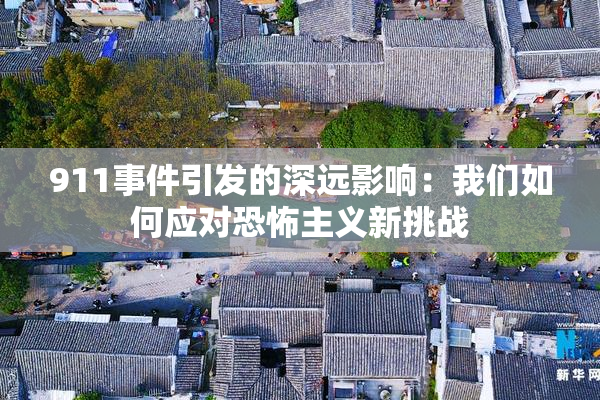 911事件引发的深远影响：我们如何应对恐怖主义新挑战