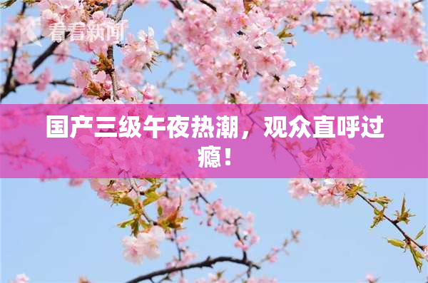 国产三级午夜热潮，观众直呼过瘾！