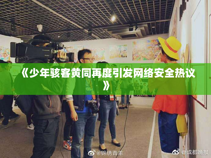 《少年骇客黄同再度引发网络安全热议》