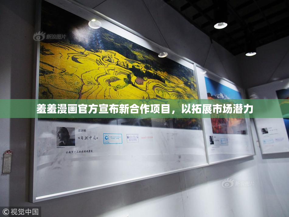 羞羞漫画官方宣布新合作项目，以拓展市场潜力