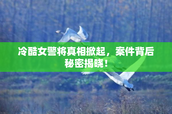 冷酷女警将真相掀起，案件背后秘密揭晓！