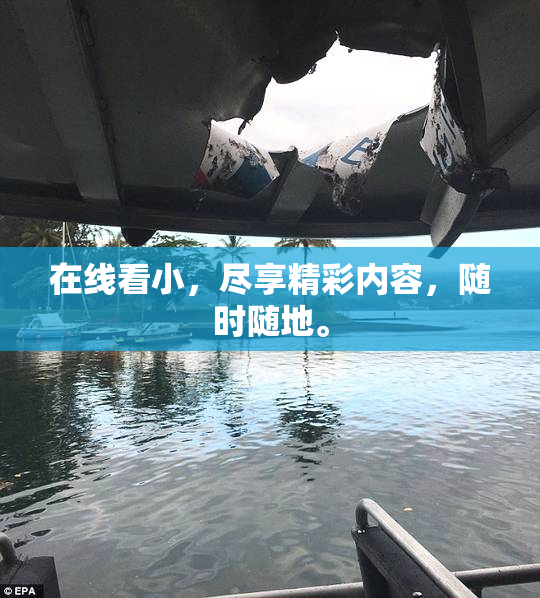 在线看小，尽享精彩内容，随时随地。