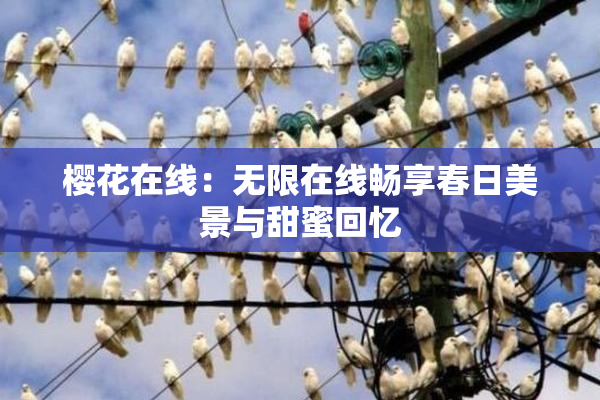 樱花在线：无限在线畅享春日美景与甜蜜回忆