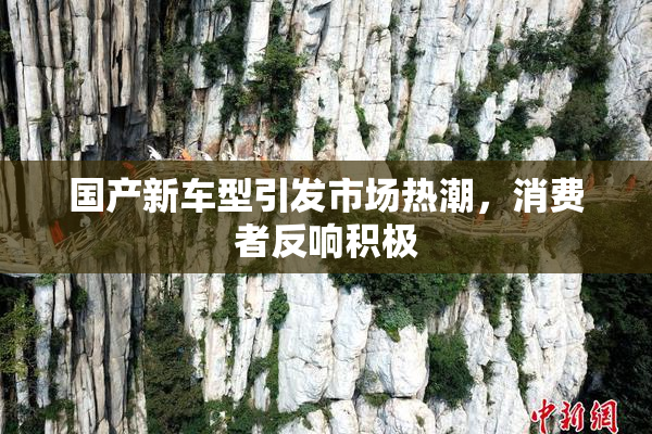 国产新车型引发市场热潮，消费者反响积极