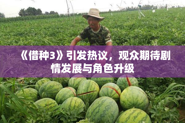 《借种3》引发热议，观众期待剧情发展与角色升级