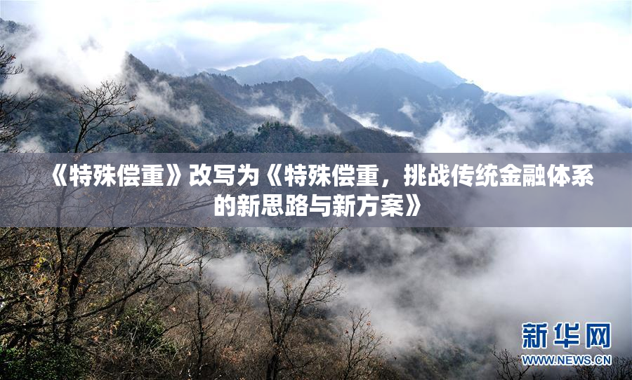 《特殊偿重》改写为《特殊偿重，挑战传统金融体系的新思路与新方案》