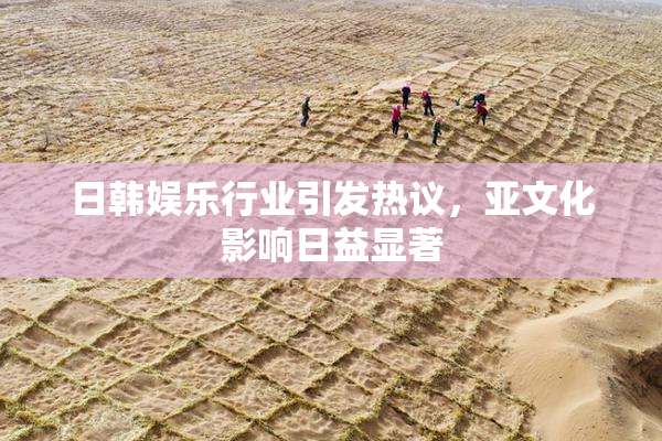 日韩娱乐行业引发热议，亚文化影响日益显著