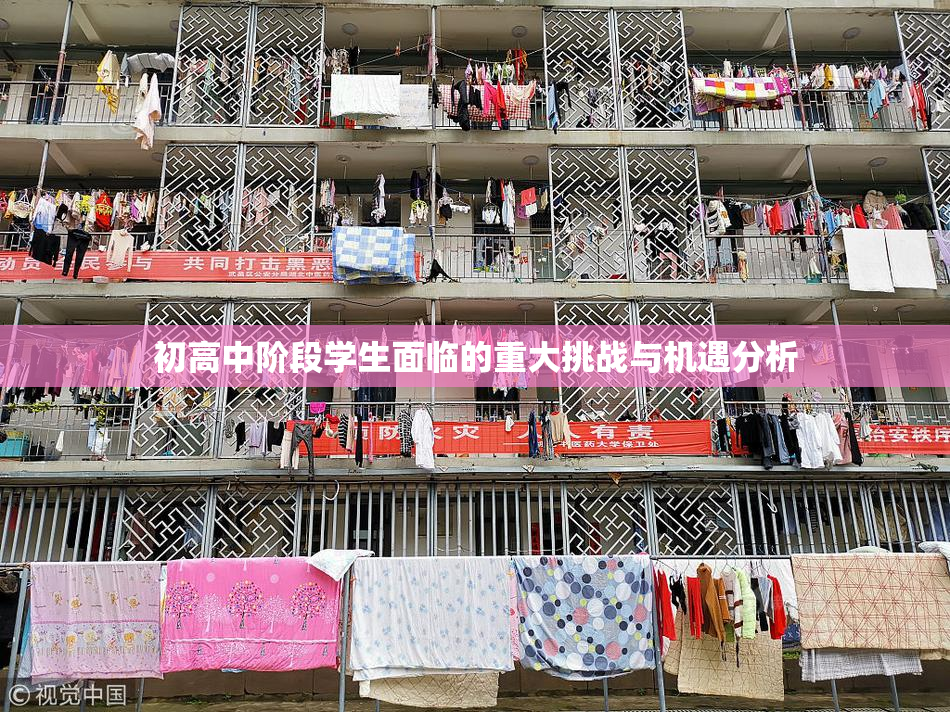 初高中阶段学生面临的重大挑战与机遇分析