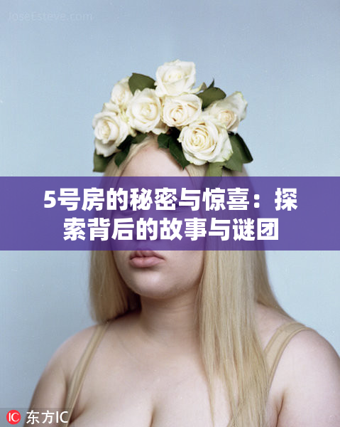 5号房的秘密与惊喜：探索背后的故事与谜团