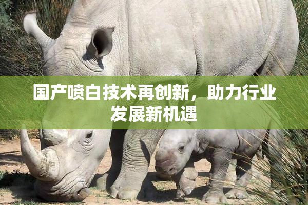 国产喷白技术再创新，助力行业发展新机遇