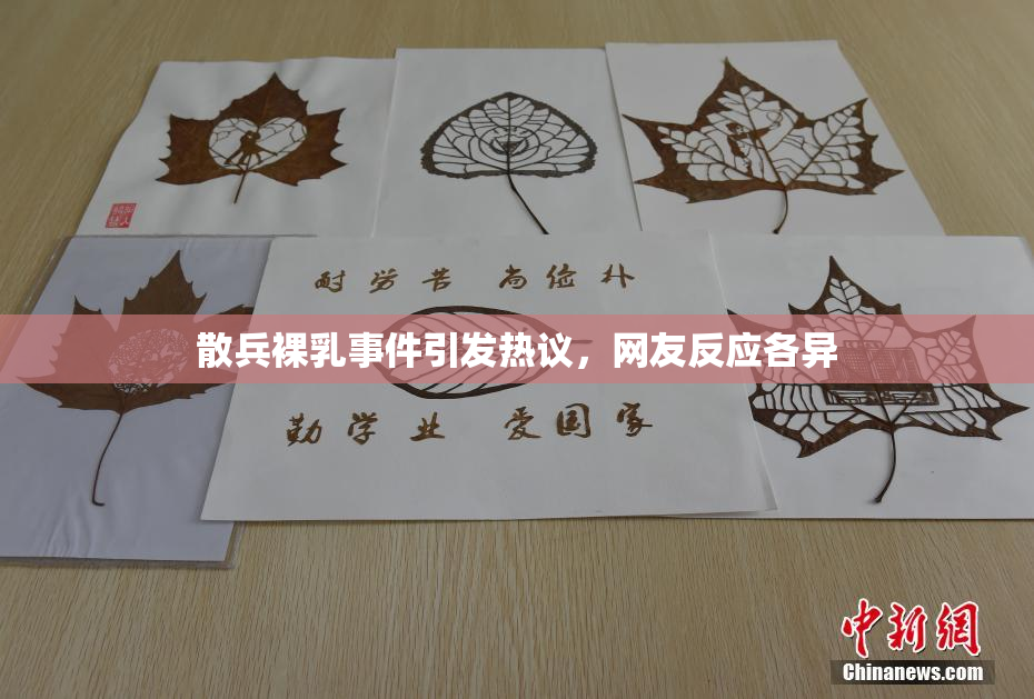 散兵裸乳事件引发热议，网友反应各异