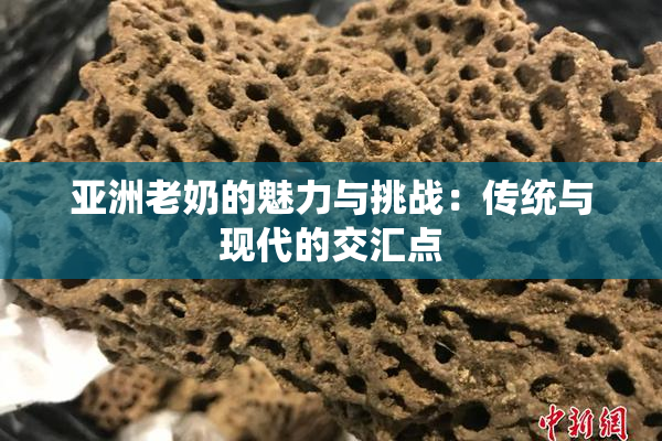 亚洲老奶的魅力与挑战：传统与现代的交汇点