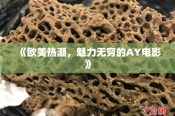 《欧美热潮，魅力无穷的AY电影》
