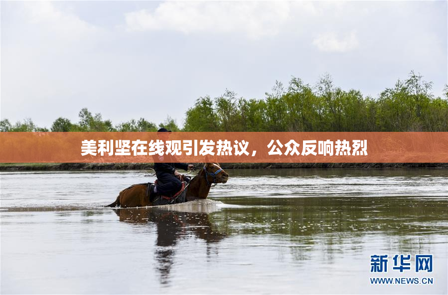 美利坚在线观引发热议，公众反响热烈