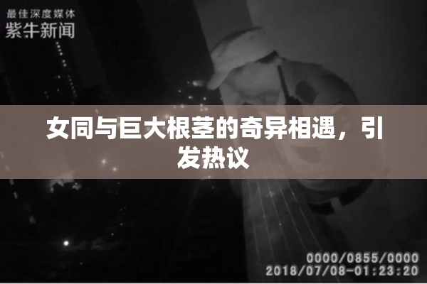 女同与巨大根茎的奇异相遇，引发热议