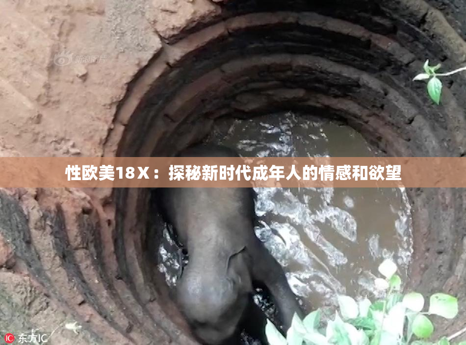 性欧美18Ⅹ：探秘新时代成年人的情感和欲望