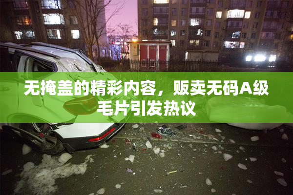 无掩盖的精彩内容，贩卖无码A级毛片引发热议