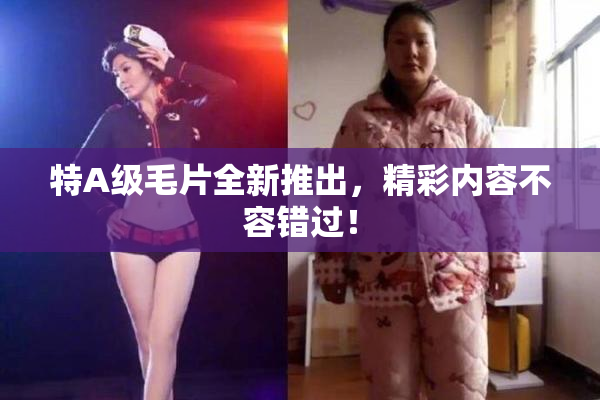 特A级毛片全新推出，精彩内容不容错过！