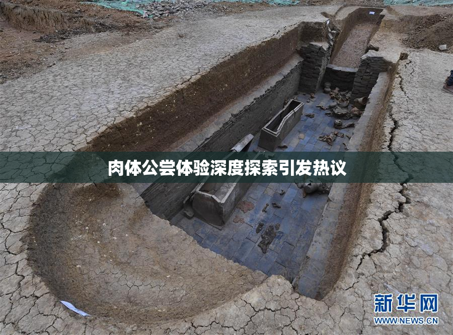 肉体公尝体验深度探索引发热议