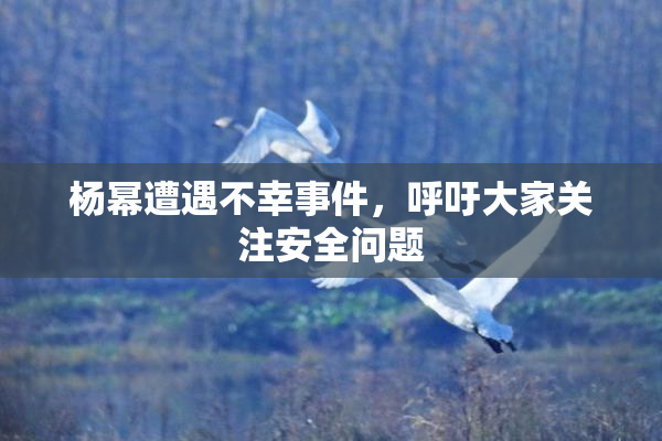 杨幂遭遇不幸事件，呼吁大家关注安全问题