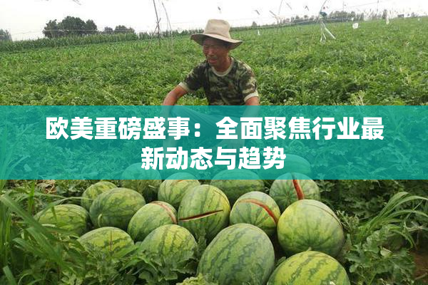 欧美重磅盛事：全面聚焦行业最新动态与趋势