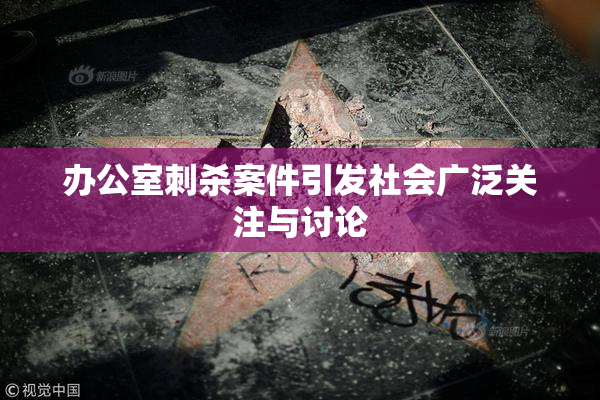 办公室刺杀案件引发社会广泛关注与讨论