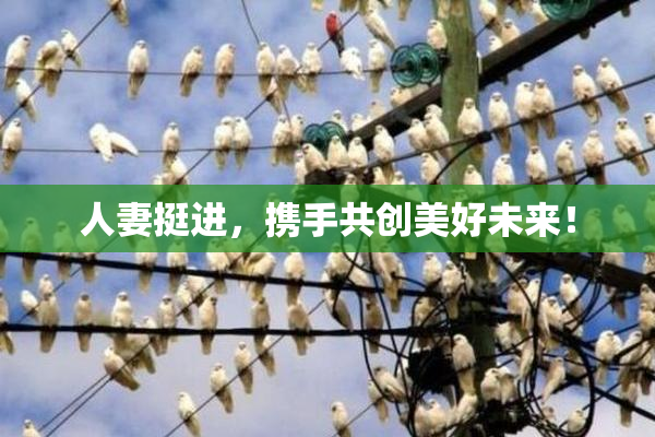 人妻挺进，携手共创美好未来！
