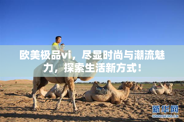 欧美极品vi，尽显时尚与潮流魅力，探索生活新方式！
