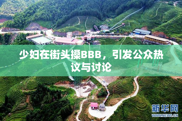 少妇在街头搡BBB，引发公众热议与讨论