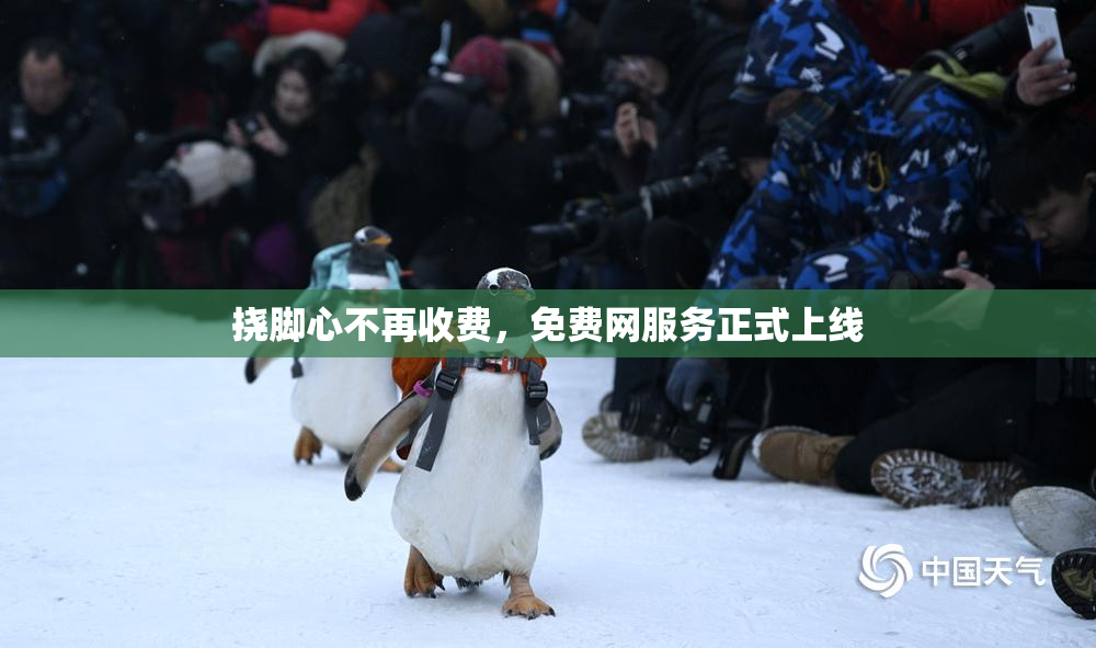 挠脚心不再收费，免费网服务正式上线